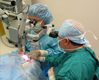 Ophthalmic Microsurgery